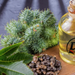 Black Castor Oil