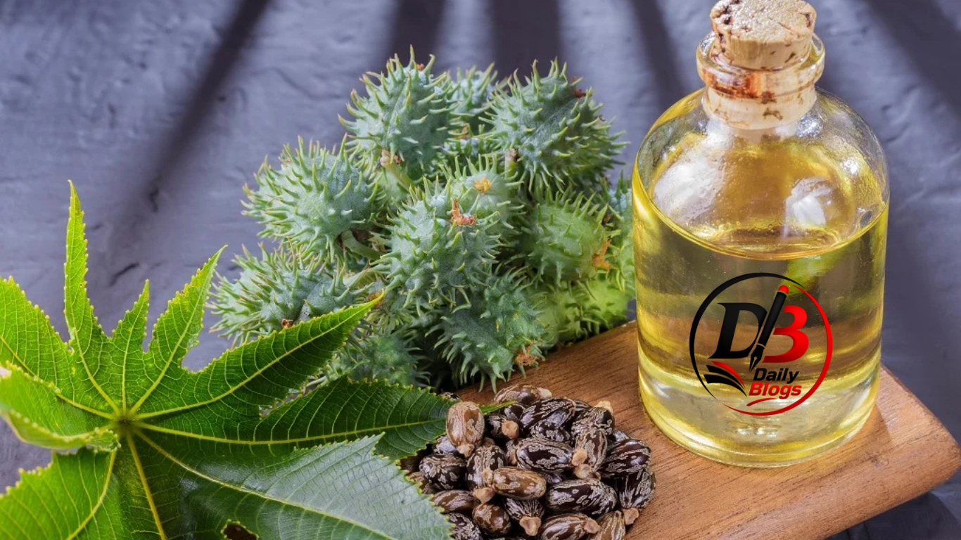Black Castor Oil: The Story Behind Its Rise as a Haircare Favourite