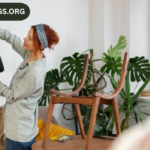 Decoradhouse Renovation Tips from DecoratorAdvice